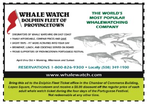 Dolphin Whale Watch